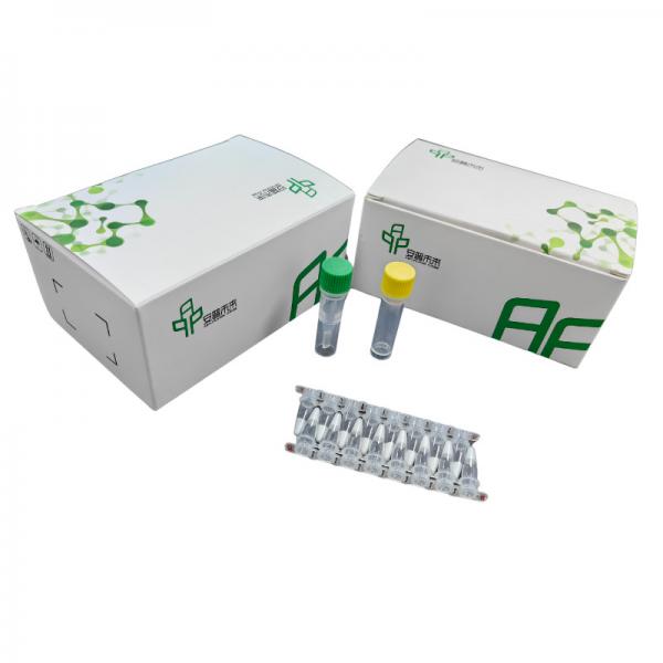 Quality 14 Months Validity DNA Isothermal Nucleic Acid Amplification Kit NFO for sale