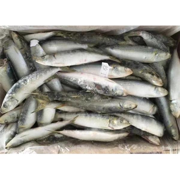 Quality Sardinella Lemuru 100% Net Weight 90g Frozen Whole Sardines for sale