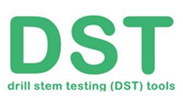 China DST Oiltools Co., Ltd logo