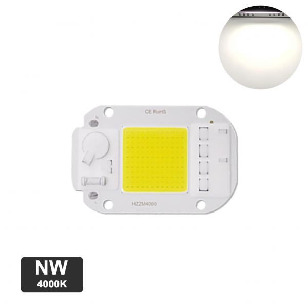 Quality 20W Warm White LED Module for sale