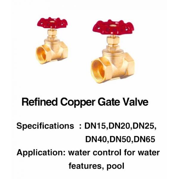 Quality SGS Swimming Pool Fountain Accessories 1 Inch Brass Gate Valve for sale
