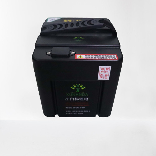 Quality BMS 48V Li Ion Battery 720Wh Lithium Ion Battery For Electric Motorcycle for sale