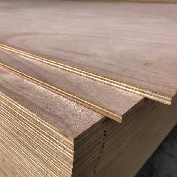 Quality Mildewproof Poplar Hardwood Veneer Plywood Harmless Practical for sale