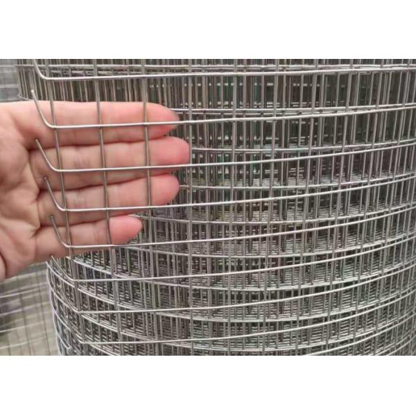 Quality 1/2 Inch Ss Welded Wire Mesh , SGS Chicken Cage Wire Mesh for sale