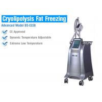 China Fat Burning Cryolipolysis Fat Freeze Slimming Machine , Fat Cavitation Machine For Men Women factory