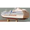 China Coral Princess Toy Cruise Ship Model , Ocean Liner Models With Alloy Casting Container Material factory