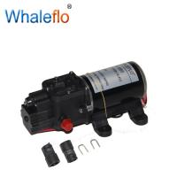 China Whaleflo 5.1LPM 12V DC 2 Chamber Diaphragm Hot Sale In Summer High Pressure Pump For Misting System factory