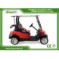 China Electric Golf Buggy Unique USA Key Golf Course Golf Cart Buggy/Trojan Battery factory