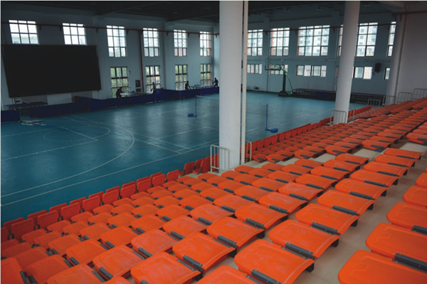 Quality HDPE Chair Indoor Bleacher Seating / Telescopic Seating Systems 260mm Step for sale