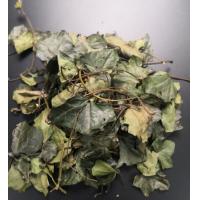 China Antifungal Ivy Leaf Extract Brown Yellow Powder For Treat Joint Pain factory