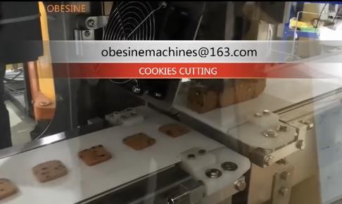 china Hard cookies Moulding  Machine , Biscuits Making machine , pancakes machine,  Cake machines, cookies depostior
