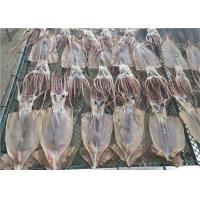 Quality 100% Natural Dried Illex Squid Whole Round 85g Fresh Frozen Squid for sale