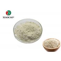 China CAS 94350-05-7 Organic Rice Protein Powder / Vanilla Rice Protein Powder 80% factory
