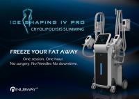 China cryo fat freezing cooling body slimming machine for fat removal sculpture factory