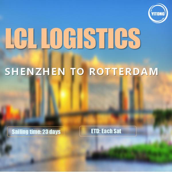 Quality LCL International Shipping Shenzhen To Rotterdam for sale