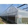 China Hot Galvanized Frame Dome Lettuces Plastic Cover Greenhouse factory