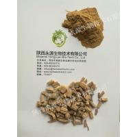 China Traditonal Chinese Medicine Extract, Codonopsis Pilosula Extract 10:1, ginseng-like, enhance immunity,  chronic fatigue factory