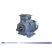 Quality 0.25kw To 350kw Three Phase Induction AC Electrical Low Voltage Motor for sale