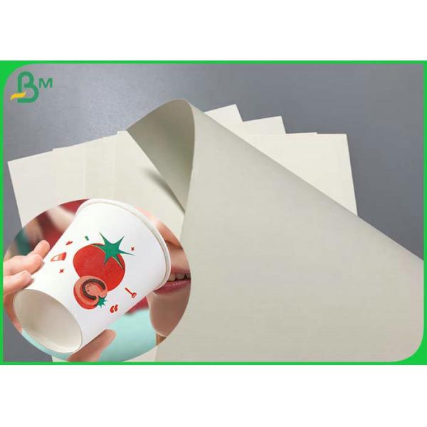 Quality 210g White Printable 650mm Cupstock Paper For Disposable paper cup for sale
