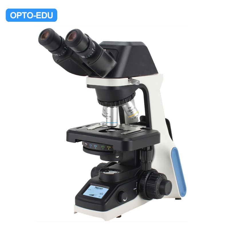 China A12.1030-B Laboratory Binocular Compound Light Microscope 100x factory