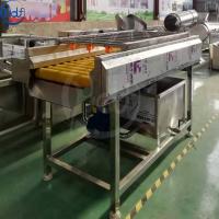 China Fruit and vegetable processing equipment/wool roller high pressure spray cleaning/brush cleaning machine parallel type factory