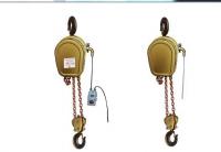 China China YT Manufacturer Remote Control 1 ton 2 ton 5 ton electric chain hoist factory