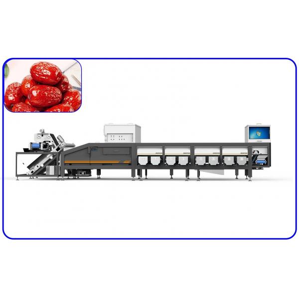 Quality A Machine That Automatically Sorts Jujubes According To Their Size 8 Lanes Dates for sale