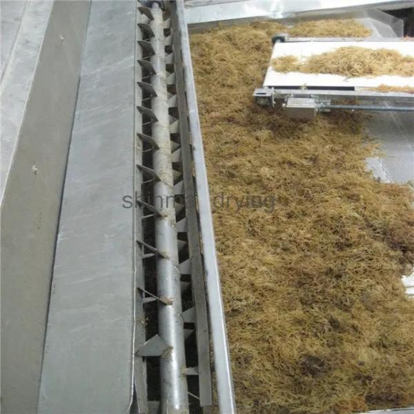Quality DW Conveyor Belt Dryer Fruit Dehydrator Machine Plant 120 To 300kg/H for sale