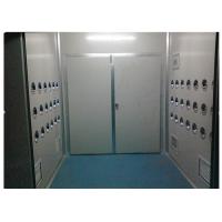 Quality Anti-Static Class 10000 Cargo Air Shower Tunnel For Cosmetic Workshop , Sandwich for sale