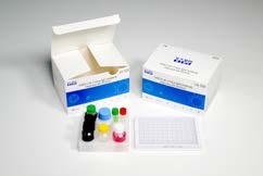 Quality 96 Tests 60 Min IgG Elisa Kit COVID-19 Test Human Serum Sample for sale