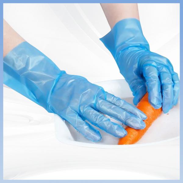 Quality Eco Friendly TPE Disposable Gloves Sterile Hand Gloves recyclable for sale