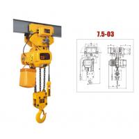 China Single Phase 1ton Electric Chain Hoist for sale