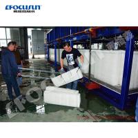 China Blue Painting 30Tons Block Ice Machine for Ice Plant After Service Video Technical Support factory