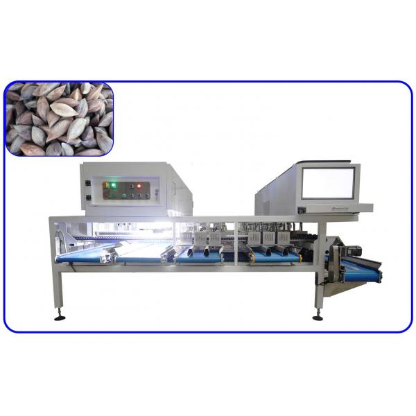 Quality Silver AI Pilinuts Grading Sorting Machine 8.5KW 16 Channel Stainless Steel for sale