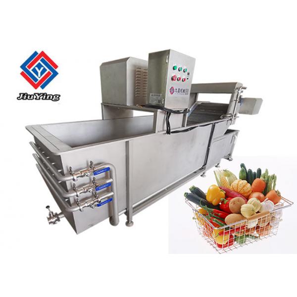 Quality 1000 KG/H Vegetable Bubble Washing Fruit Salad Cleanner Machine With 1 Year for sale