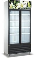 China Commercial Refrigerator Freezer LC-1000M2F , Vertical Showcase With Glass Door factory