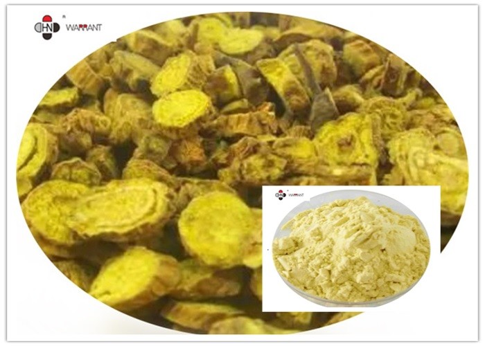 China 85% Baicalin Yellow Powder Scutellaria Baicalensis Extract factory