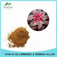 China Best Price Food Color Natural Amaranth Pigment Red factory