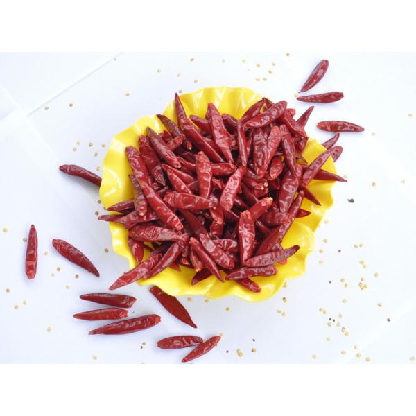 Quality Zero Addition Small Red Dried Chillies Premium 10KG Tianjin Peppers for sale