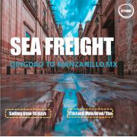 China FOB CIF International Ocean Freight From Qingdao To Manzanillo Mexico factory