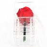 China Decorative Beautiful Preserved Rose Flower With No Pollen / No Allergy factory