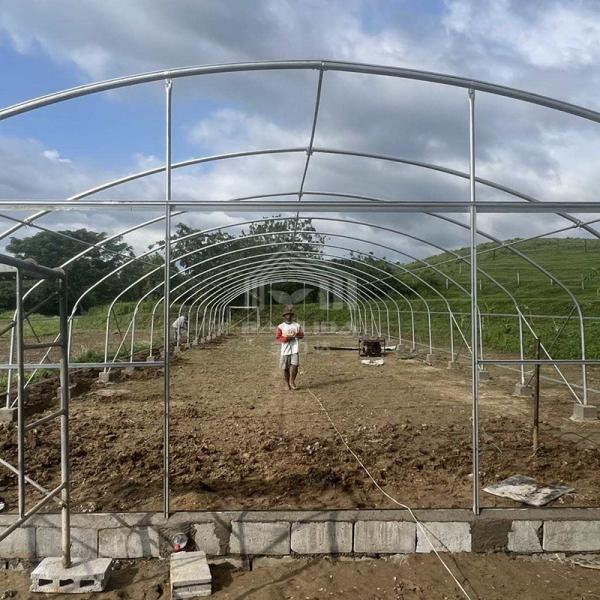 Quality Metal Frame Hothouse Vegtable Hoop House High Tunnel Greenhouse for Sale for sale