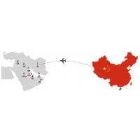 China International Sea Cargo Air Cargo Logistics DDP From China To Saudi Arabia factory