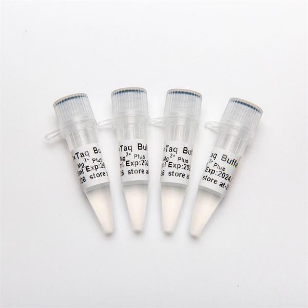 Quality 10× PCR Buffer (Mg2+ Plus) P5011 1.25ml×4 for sale