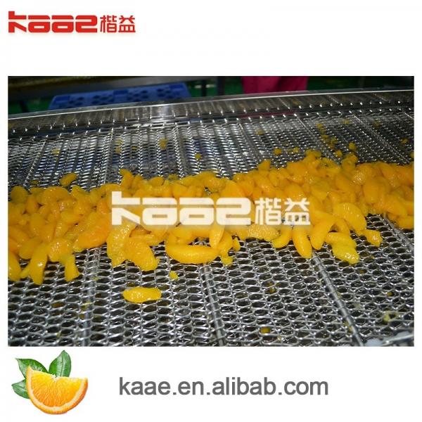 Quality Orange Sacs Juice Extraction Machine Processing Line Automatic Juice Making for sale