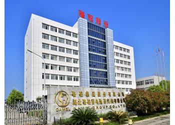 China Factory - Camel Group Co., Ltd.