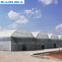 China 200 Micron Film Tomato Growing Plastic Tunnel Greenhouse Multi Span Greenhouse factory