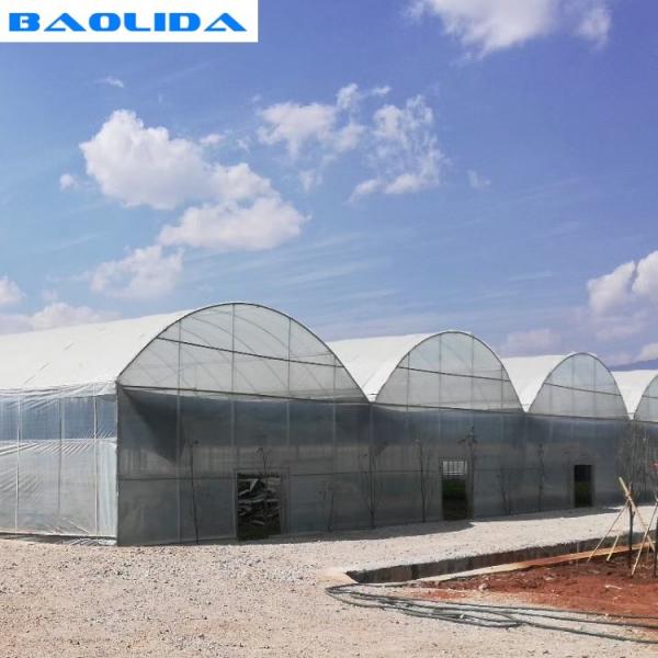 Quality Dome Roof Structure Strong Plastic Greenhouse With Inside Shading System for sale