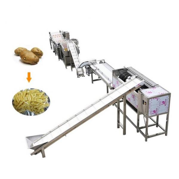 Quality 500Kg Potato Frozen French Fries Making Machine Multifunctional for sale