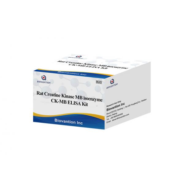 Quality Rat Creatine Kinase MB Isoenzyme CK-MB ELISA RUO Test Kit for sale